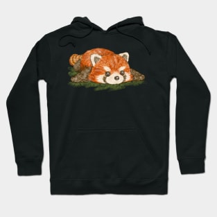 Red panda in prone position Hoodie